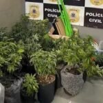 Reprodução: Polícia Civil