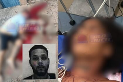 Reprodução/ alojuca.com.br