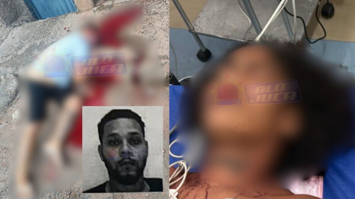 Reprodução/ alojuca.com.br