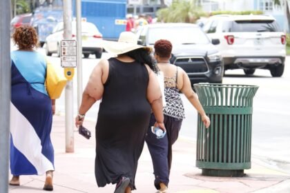 Reprodução: Pixabay