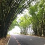 Reprodução/ Victor Hernandes