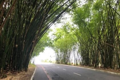 Reprodução/ Victor Hernandes