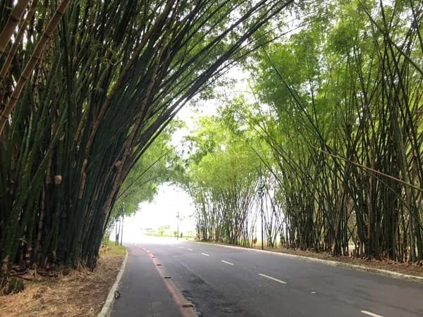 Reprodução/ Victor Hernandes