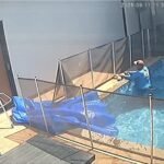 Reprodução/ Redes Sociais