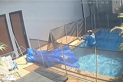 Reprodução/ Redes Sociais