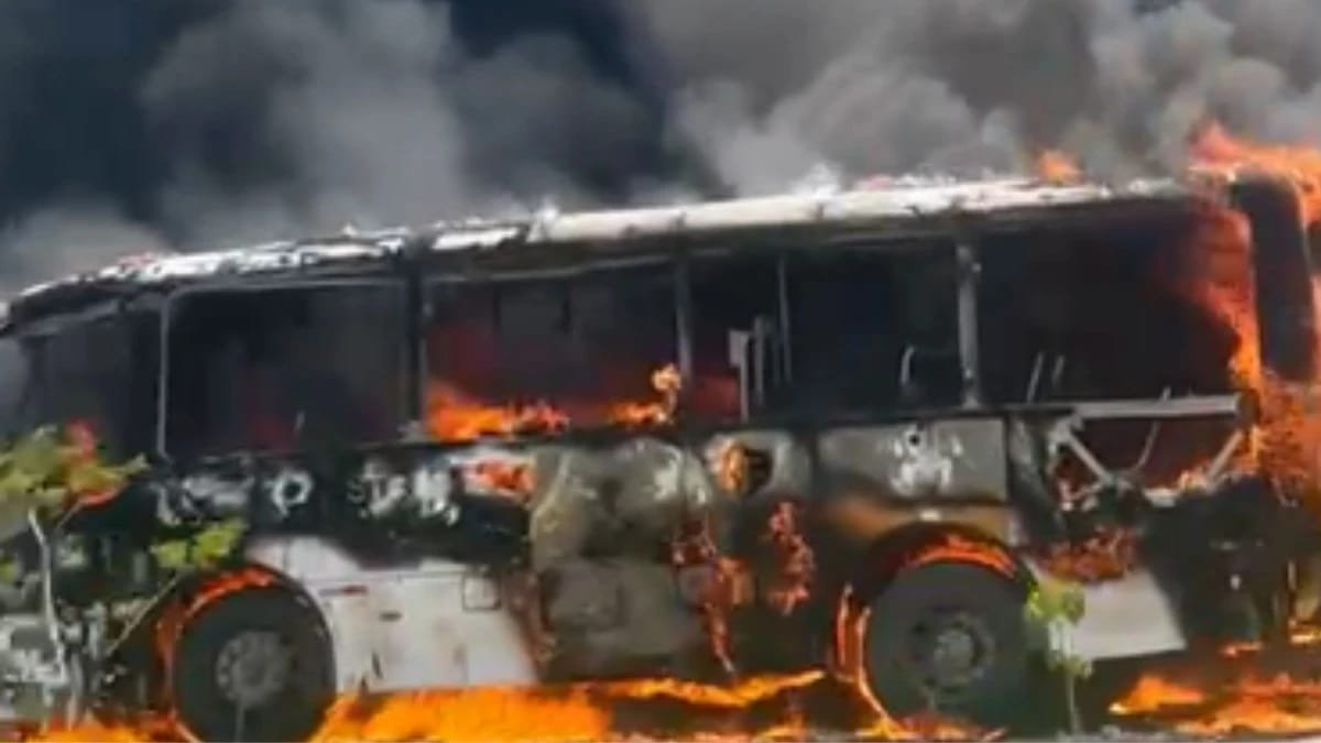 Reprodução/ Correio 24h