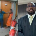 Reprodução de Imagem