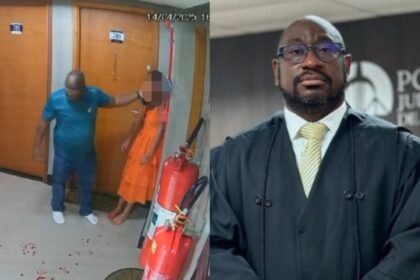 Reprodução de Imagem