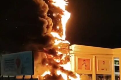 Reprodução de Imagem