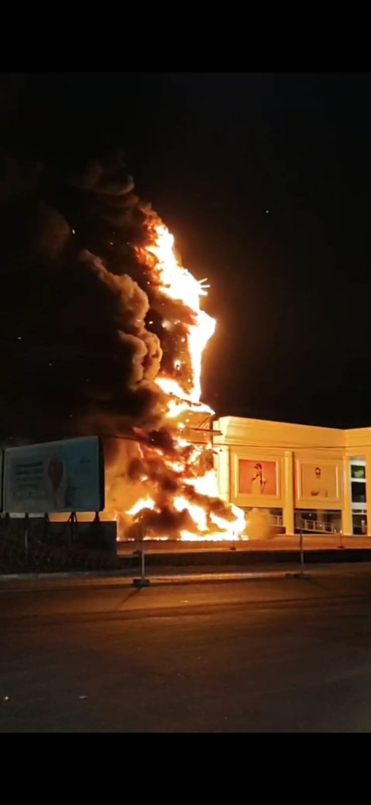 Reprodução de Imagem