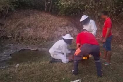 Reprodução de Imagem