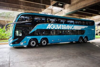 Reprodução de Imagem