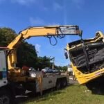 Reprodução de Imagem