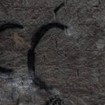 Reprodução de Imagem