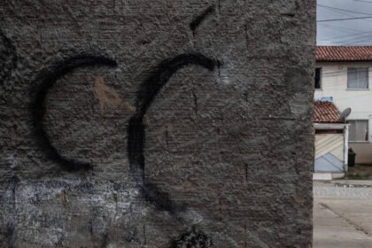 Reprodução de Imagem