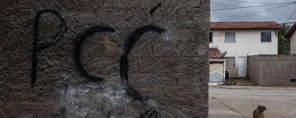 Reprodução de Imagem