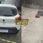 Reprodução de Imagem