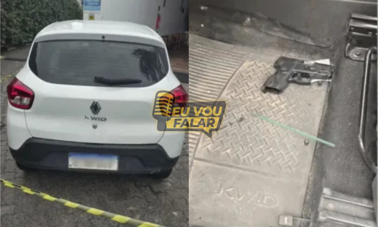 Reprodução de Imagem