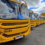 Reprodução de Imagem