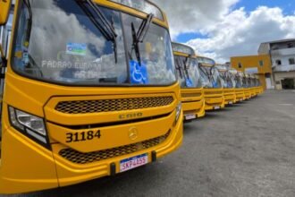 Reprodução de Imagem