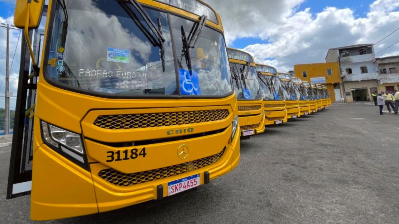 Reprodução de Imagem