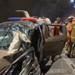 Reprodução de Imagem