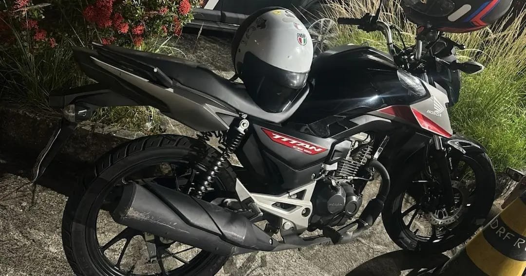 Reprodução de Imagem