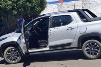 Reprodução de Imagem