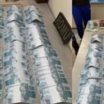 Reprodução de Imagem