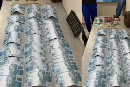 Reprodução de Imagem