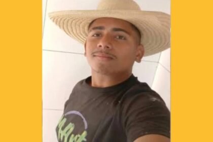 Reprodução de Imagem