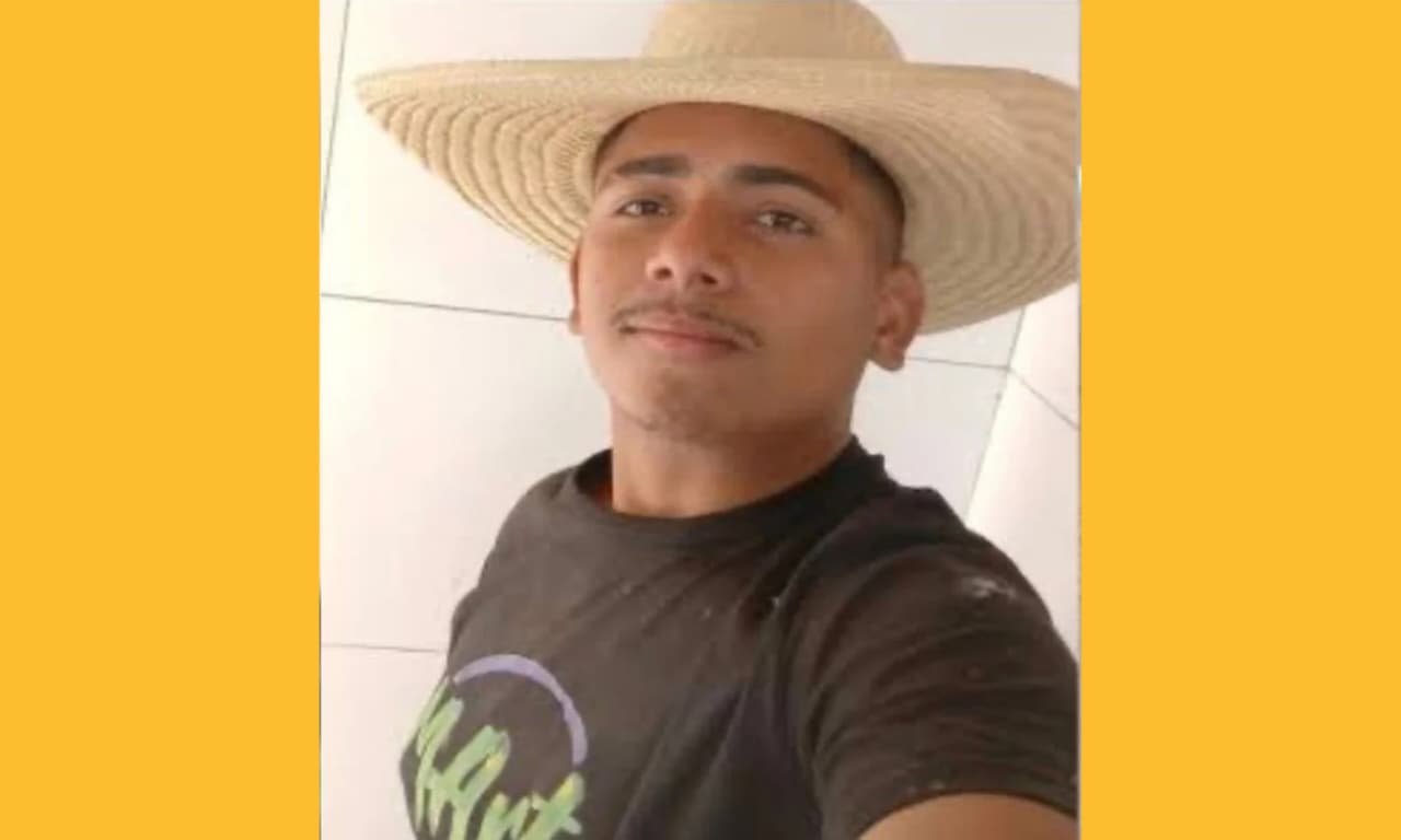 Reprodução de Imagem