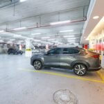 Reprodução de Imagem