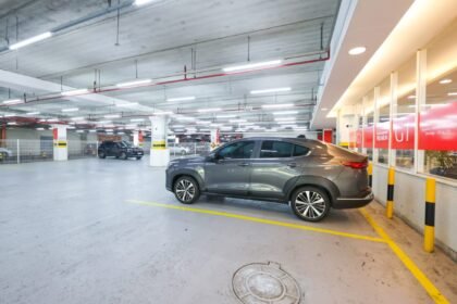 Reprodução de Imagem