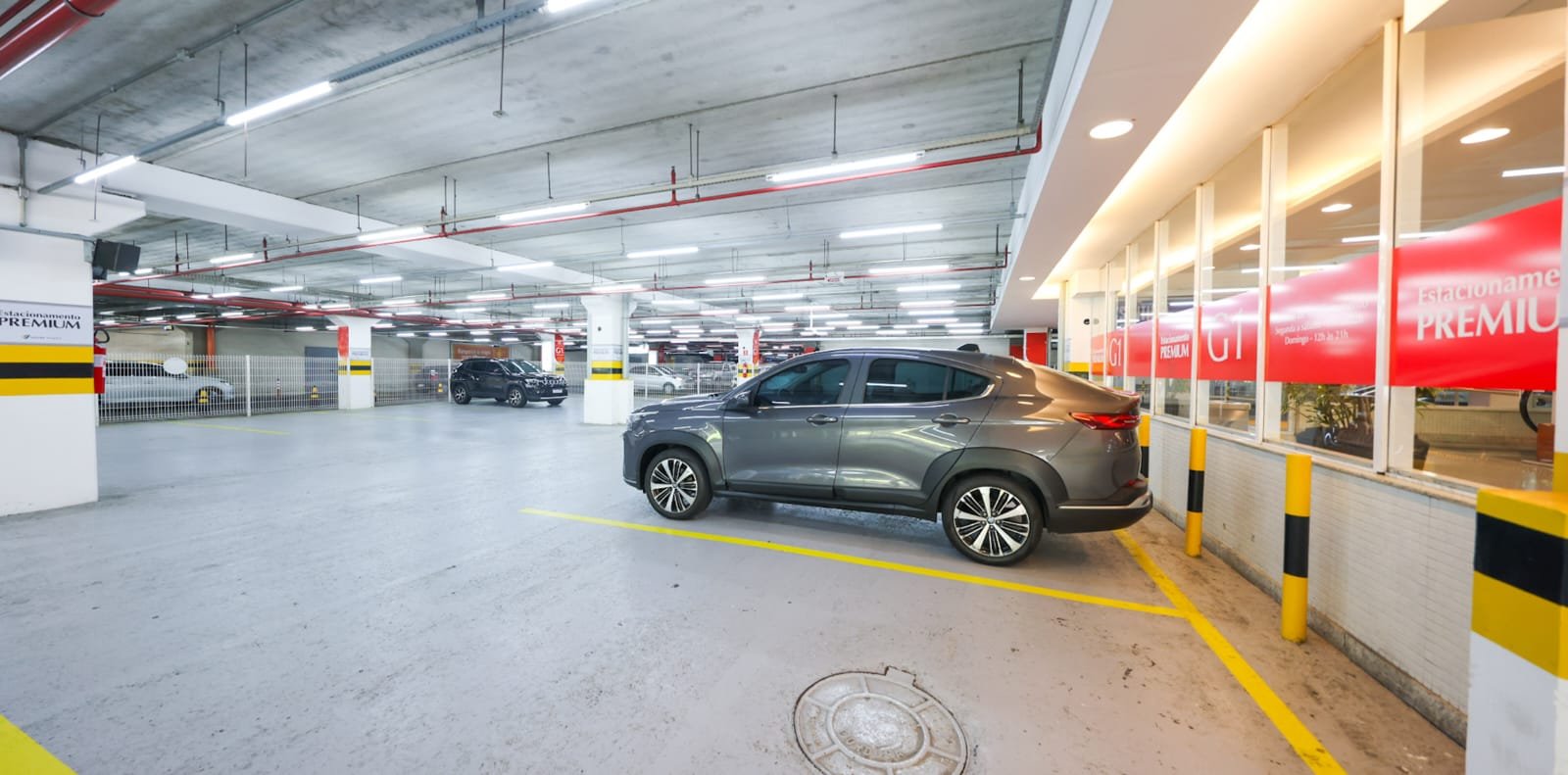 Reprodução de Imagem