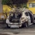 Reprodução de Imagem