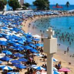 Reprodução de Imagem