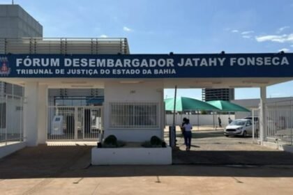 Reprodução de Imagem