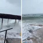 Reprodução de Imagem