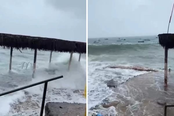 Reprodução de Imagem