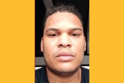 Reprodução de Imagem