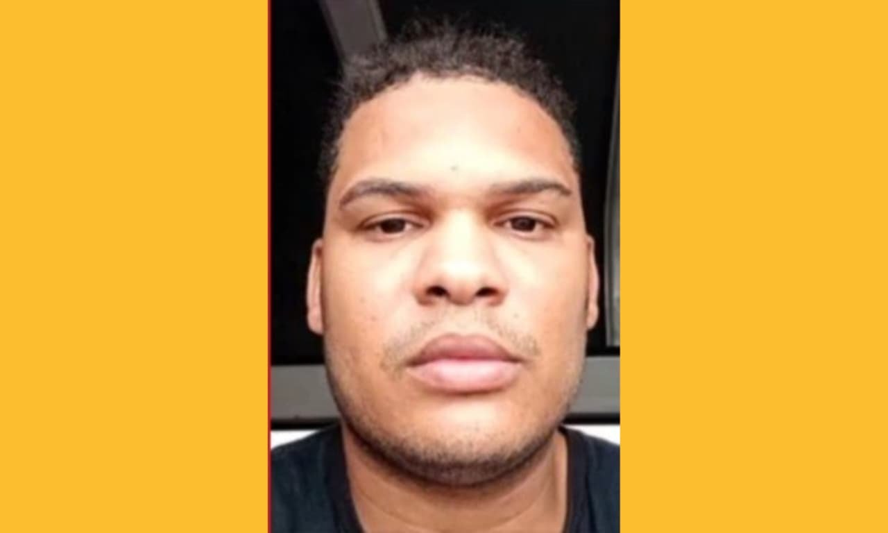 Reprodução de Imagem