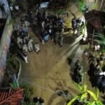 Reprodução de Imagem