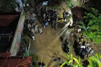 Reprodução de Imagem