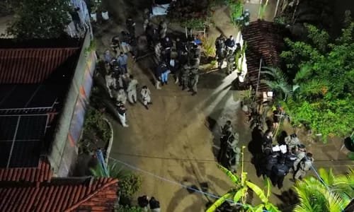 Reprodução de Imagem