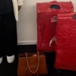 Reprodução de Imagem