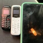 Reprodução de Imagem