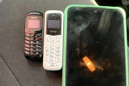 Reprodução de Imagem