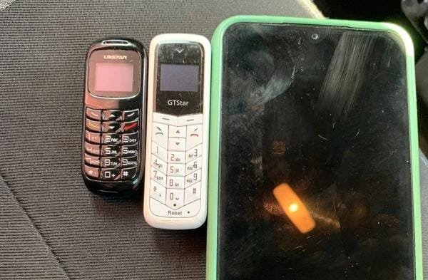 Reprodução de Imagem