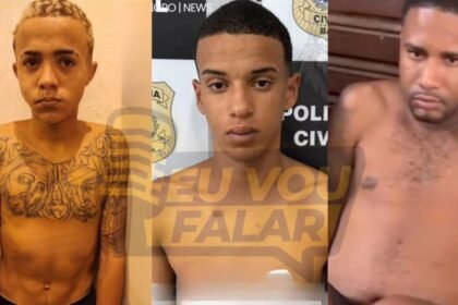 Reprodução de Imagem